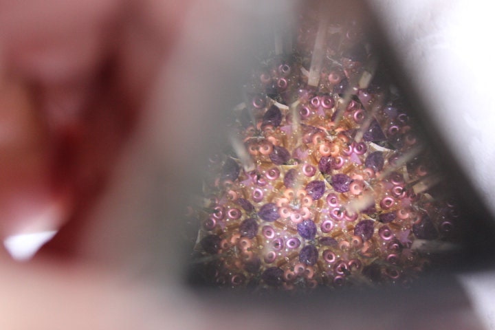 Unique Unicorn Kaleidoscope
