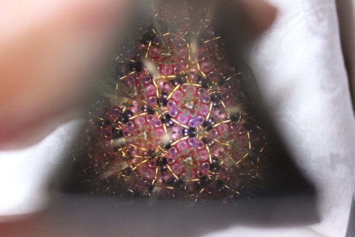 Unique Unicorn Kaleidoscope