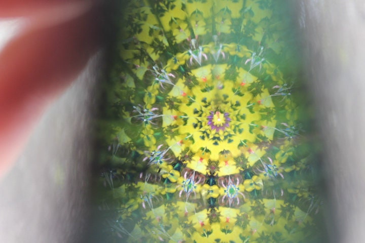 Black Oil Wand Scope with Yellow Wand