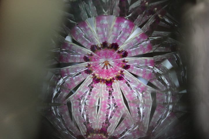 Golden Honey Iridescent Oil Wand Kaleidoscope