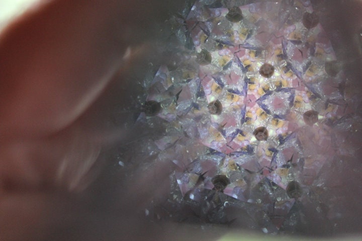 Butterfly Kaleidoscope
